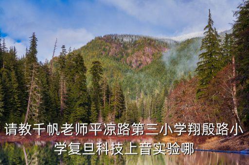 上海市平涼路第三小學特色，請教千帆老師平涼路第三小學翔殷路小學復旦科技上音實驗哪