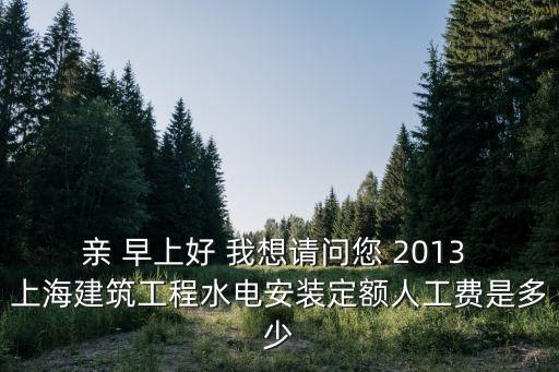 上海市安裝定額人工信息價，親 早上好 我想請問您 2013 上海建筑工程水電安裝定額人工費是多少