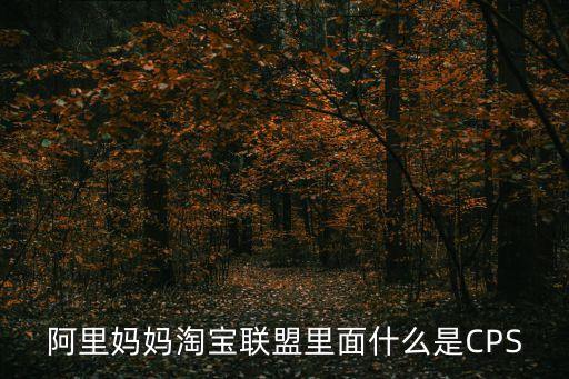 阿里媽媽淘寶聯盟里面什么是CPS