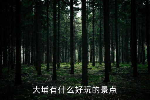 大埔有什么好玩的景點