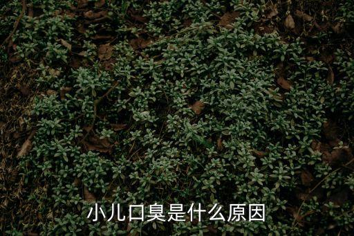 小兒口臭是什么原因