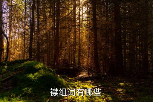 襟組詞有哪些