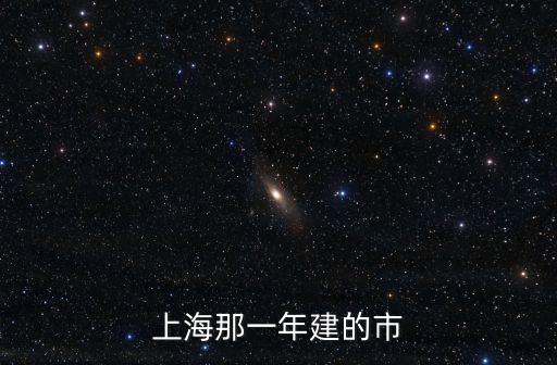 上海那一年建的市