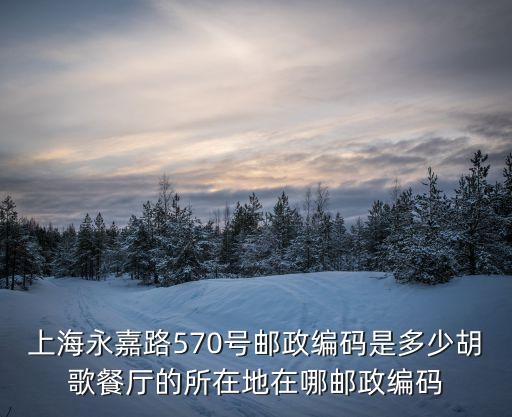 上海市永嘉路355號，ecomore上海實體店地址在哪