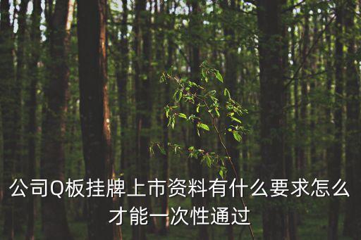 上海市q板上市場規則，Q板E板掛牌上市需要什么條件