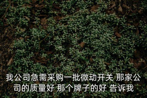 我公司急需采購一批微動開關 那家公司的質量好 那個牌子的好 告訴我