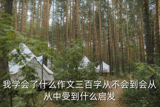 我學會了什么的作文，我學會了什么作文三百字從不會到會從從中受到什么啟發