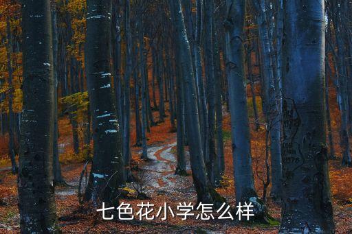 上海市七色花小學好伐，七色花小學怎么樣