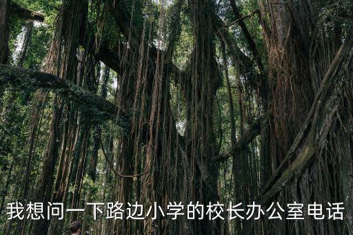 我想問(wèn)一下路邊小學(xué)的校長(zhǎng)辦公室電話