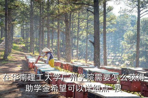 在華南理工大學廣州學院需要怎么獲得助學金希望可以詳細點  搜