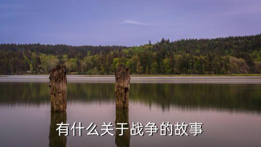有什么關(guān)于戰(zhàn)爭的故事