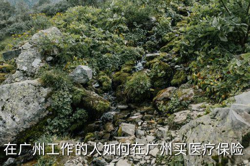 在廣州工作怎么辦理醫保，外地戶口在廣州工作如何買廣州醫療社保