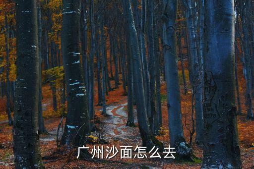 廣州沙面怎么去