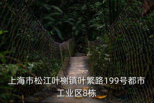 上海市松江葉榭鎮葉繁路199號都市工業區8棟