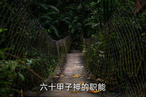 六十甲子神的職能