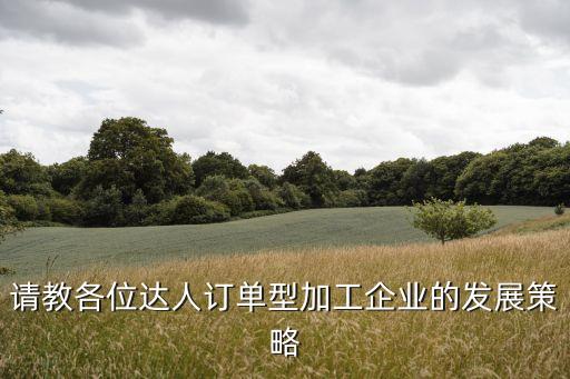 訂單加工，小型訂單服裝加工需要什么設備