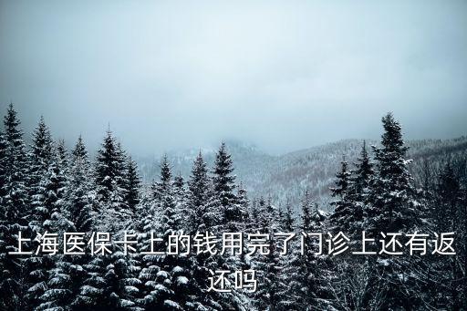 上海市醫(yī)保卡自負(fù)段刷完，上海社保卡余額用完自負(fù)是什么意思