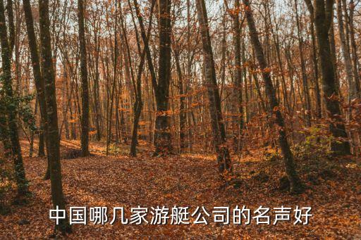 廣州民華游艇制造公司，廣州鶴洞大橋底下的造船廠叫什么名字