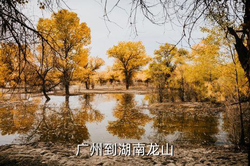 廣州到湖南省龍山縣高鐵票價(jià)位，廣州到湖南高鐵多錢