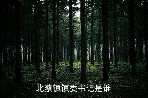 北蔡鎮鎮委書記是誰