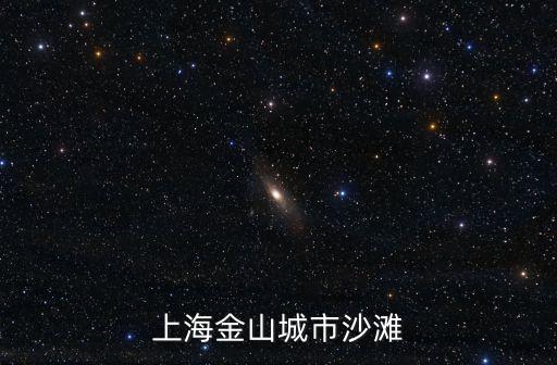 上海金山城市沙灘