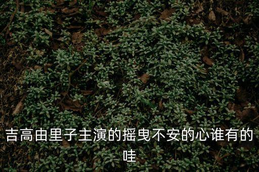 吉高由里子主演的搖曳不安的心誰有的哇