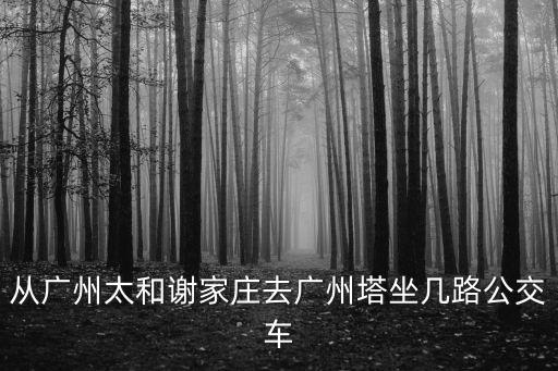 從廣州太和謝家莊去廣州塔坐幾路公交車