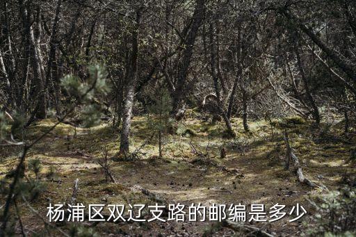 楊浦區雙遼支路的郵編是多少