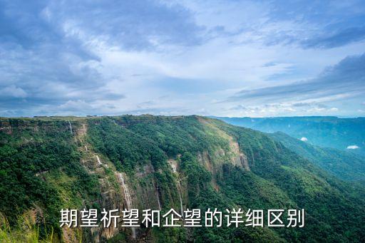 期望的意思，期望跟希望意思一樣嗎