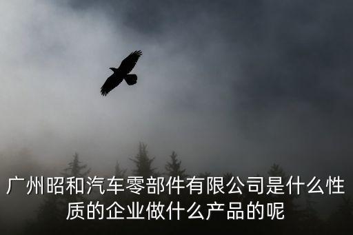 武漢廣州昭和主要生產(chǎn)什么，廣東昭和廠是做什么的
