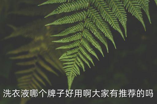 十大洗衣液排名，什么牌子洗衣液最好呢親們覺得哪個(gè)牌子最好