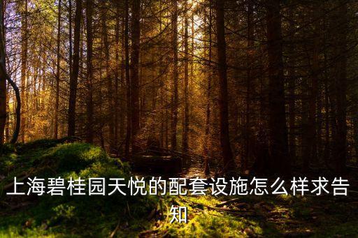 上海市海灣碧桂園，碧桂園海灣1號附近的配套好不好