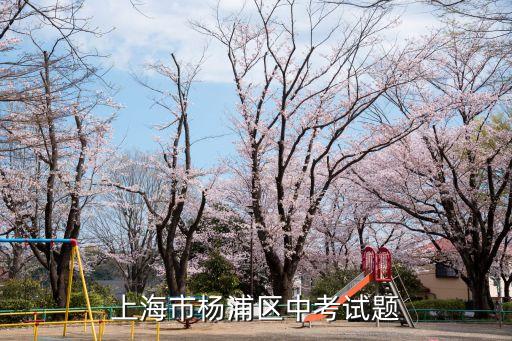 2019年上海市中考理化答案，我要2009上海中考理化試題及答案的圖片
