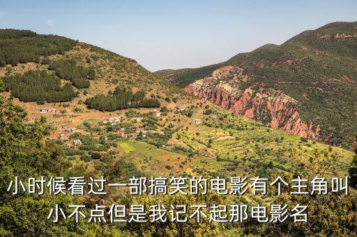 小時(shí)候看過(guò)一部搞笑的電影有個(gè)主角叫小不點(diǎn)但是我記不起那電影名