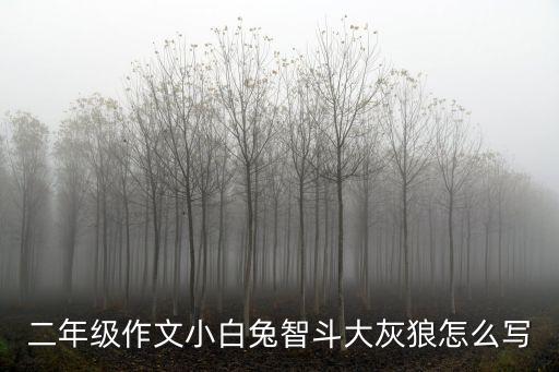 智斗大灰狼，二年級作文小白兔智斗大灰狼怎么寫