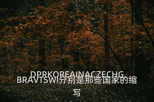 DPRKOREAINACZECHGBRAVTSWI分別是那些國家的縮寫