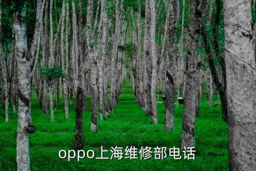 上海市oppo手機(jī)售后服務(wù)網(wǎng)點查詢電話，OPPO上海特約維修中心