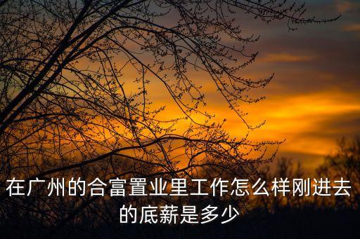 廣州合富工資待遇，廣州市合富置業房地產客服待遇怎樣知道的朋友能和我說一下嗎