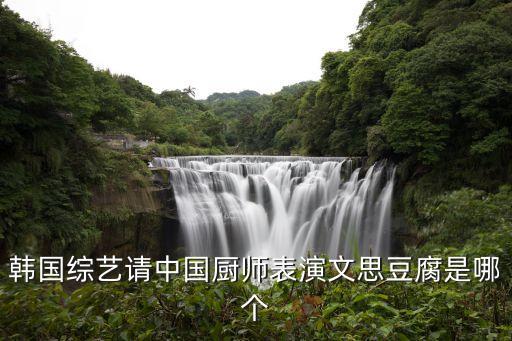 韓國綜藝請(qǐng)中國廚師表演文思豆腐是哪個(gè)