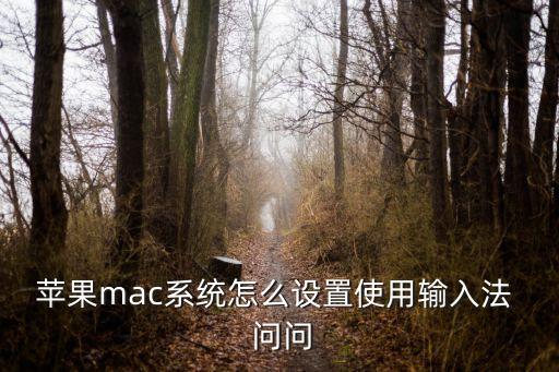 搜狗mac，mac OS支持inter硬件mac os收費