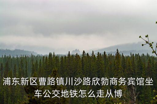 上海市浦東新區(qū)曹路鎮(zhèn)酒店，浦東新區(qū)曹路鎮(zhèn)川沙路欣勃商務(wù)賓館坐車公交地鐵怎么走從博