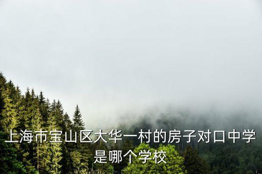 上海市大華地區(qū)中學(xué)，上海市寶山區(qū)大華一村的房子對(duì)口中學(xué)是哪個(gè)學(xué)校