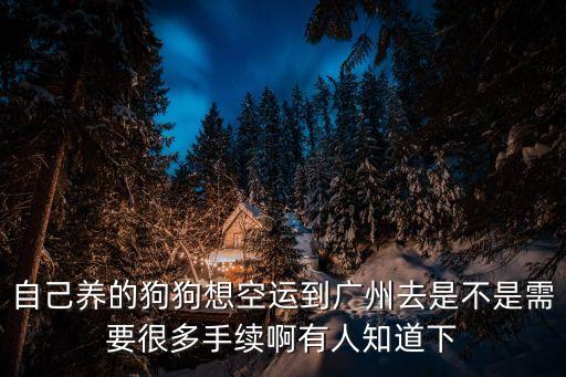黃州寵物托運到廣州，過年了我想把我的寵物小狗運回家運到廣州去有誰知道找哪家公