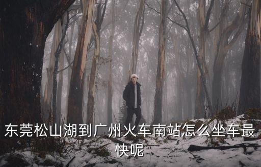 松山湖車站至廣州南，東莞松山湖到廣州火車南站怎么坐車最快呢
