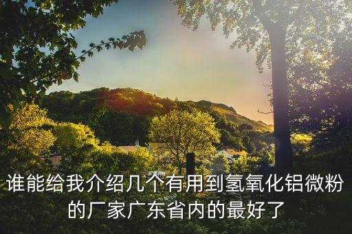 廣州超細(xì)氫氧化鋁阻燃劑，誰能給我介紹幾個(gè)有用到氫氧化鋁微粉的廠家廣東省內(nèi)的最好了