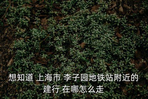 想知道 上海市 李子園地鐵站附近的建行 在哪怎么走