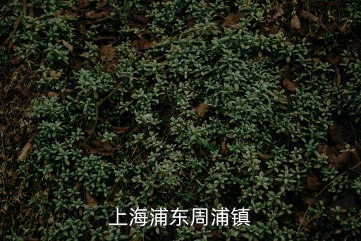 上海市浦東新區(qū)周浦鎮(zhèn)明天華城，上海市浦東新區(qū)周浦鎮(zhèn)滿五年房齡的小區(qū)