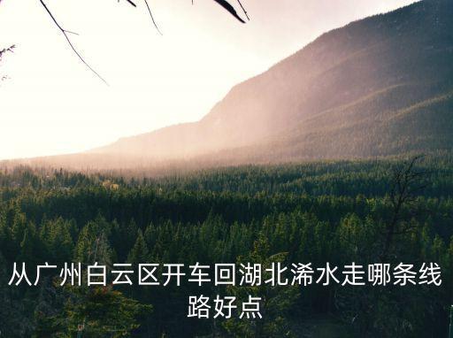 廣州回湖北省自駕游路線，求助廣州至武漢自駕游線路規(guī)劃