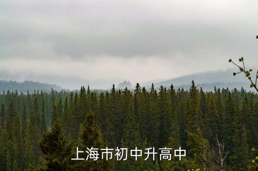 上海市升學教育，上海外入戶口升學政策
