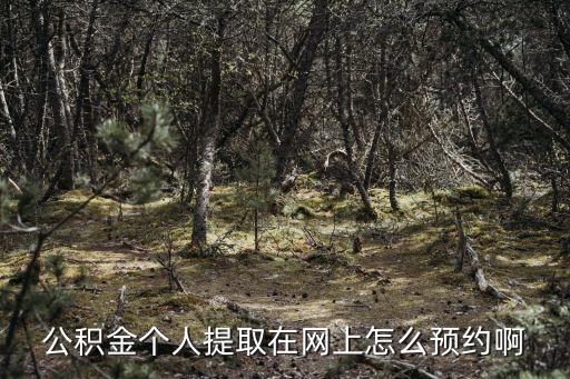 廣州公積金預(yù)約辦理流程，廣州地區(qū)怎么通過(guò)網(wǎng)上預(yù)約提取公積金